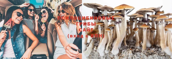 ГАЛЛЮЦИНОГЕННЫЕ ГРИБЫ Абинск