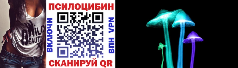 Псилоцибиновые грибы ЛСД площадка наркотические препараты Болотное